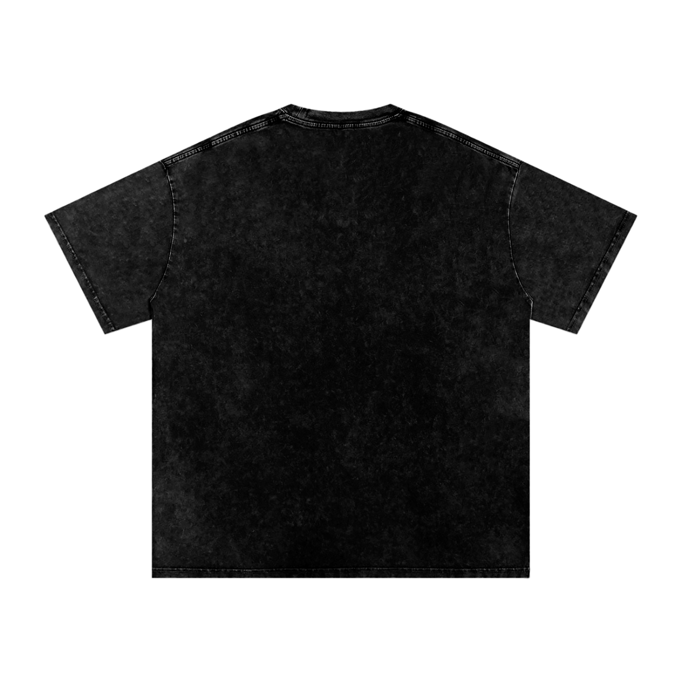 DOGSTAR SNOW WASHED TEE